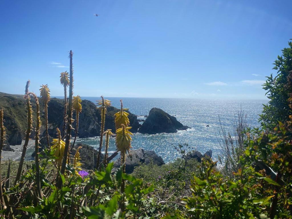 Casa Do Brejao Campo E Praia Odemira Luaran gambar