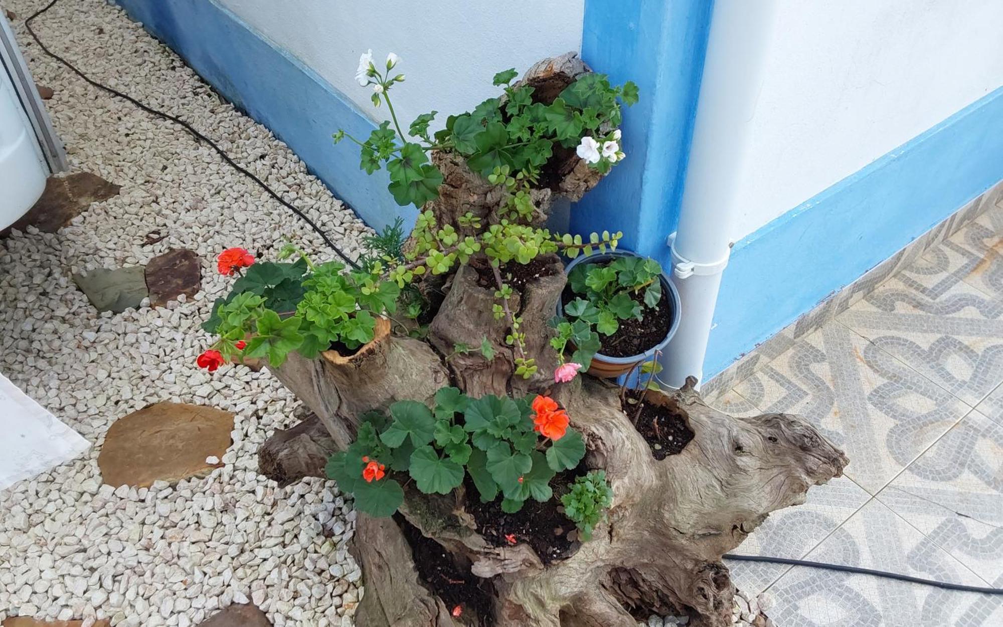 Casa Do Brejao Campo E Praia Odemira Luaran gambar