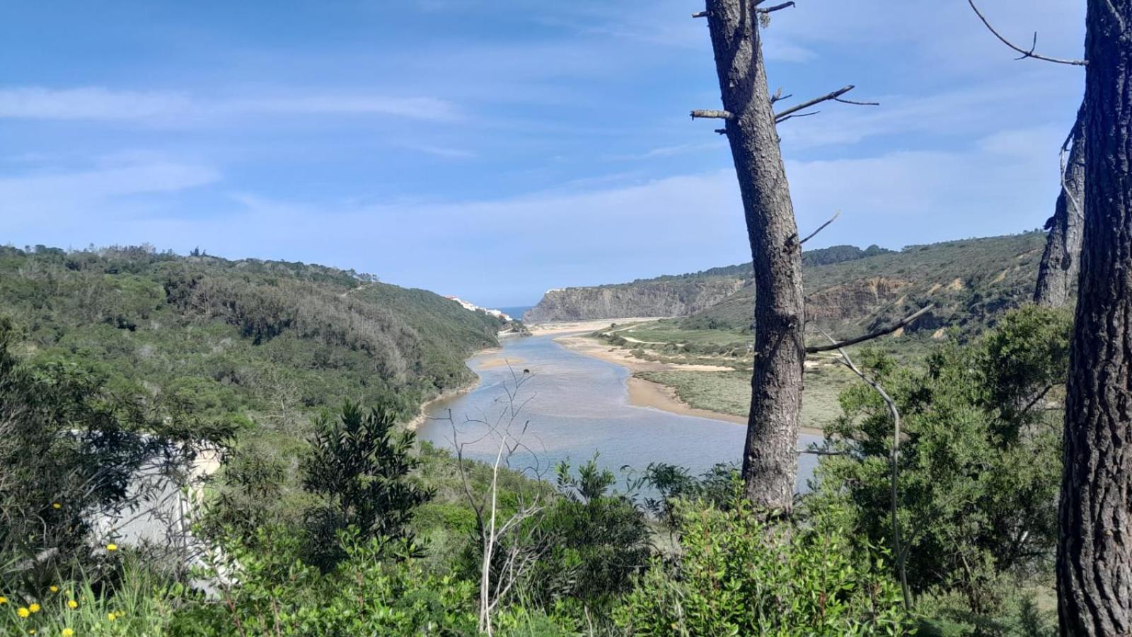 Casa Do Brejao Campo E Praia Odemira Luaran gambar